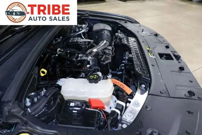 2021 Jeep Grand Cherokee L - 13